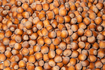 Hazelnuts. Food background, photo wallpaper