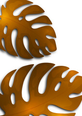 Large brown monstera leaves on a white background. Creative template for your design. Vector