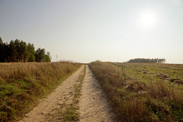 Fototapeta na wymiar Country dirt road through the field. Herbs and sky. Horizon.