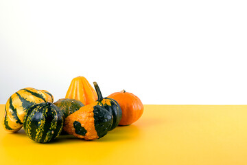 Decorative Pumpkins on Bright Yellow Background..