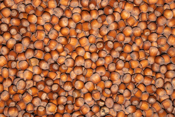 Hazelnuts. Food background, photo wallpaper