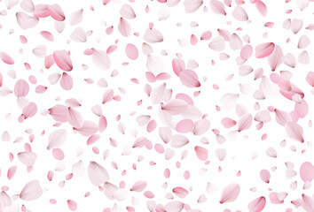 Seamless sakura petals. Falling realistic cherry petals