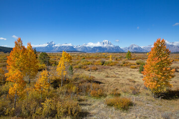 Grand Teton