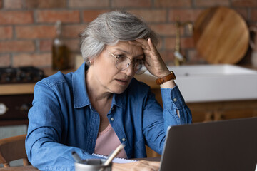Distressed mature grey-haired woman look at laptop screen have problems pay household bills or...