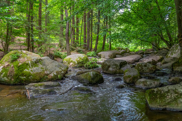nature reserve in the Bavarian Forest