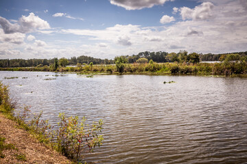 View of a large piece of land in the country with a cabin on it as well as a large fishing pond and taken on a bright and summy day