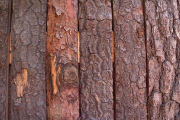 Madera