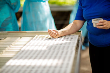
industrial greenhouse worker sows seeds
