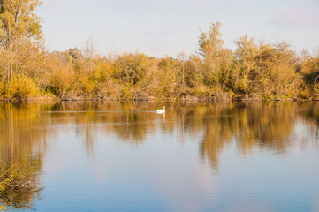 Koldinger See-Laatzen