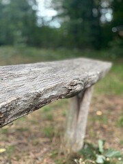 Sitzmöglichkeit Bank in der Natur