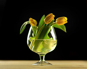 
yellow tulips in a vase on a black background