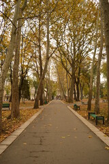 Beautiful autumn colors in Chisinau in Moldova, Eastern Europe