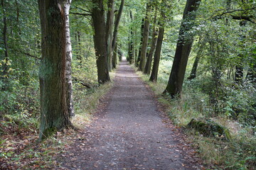 Wanderweg im Spreewald zwischen Lübbenau und Leipe