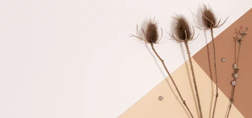 Herbst-Winter-Hintergrund Herbst-Brunch-Dekor. Trendige Pastell-Beige-Braun-Farbtöne. Stilvoller Herbst minimalistisch trendy. Platz kopieren © Porechenskaya
