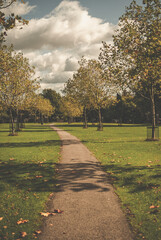 Footpath jogging track  surrounded by grass and trees in a park on a bright day