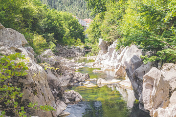 river eroding the bedrock in the forest