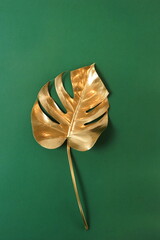 Gold monstera leaf close up isolated on a green background  top view.  abstract poster.