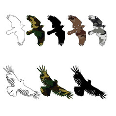 Isolated crow vector silhouettes in flight with fully open wings 