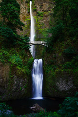 waterfall in the forest