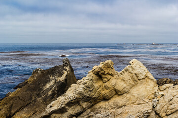 Fototapeta na wymiar Point Lobos, Big Sur, California