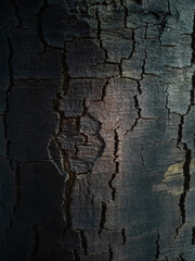 Lightly burnt wood texture with cracks