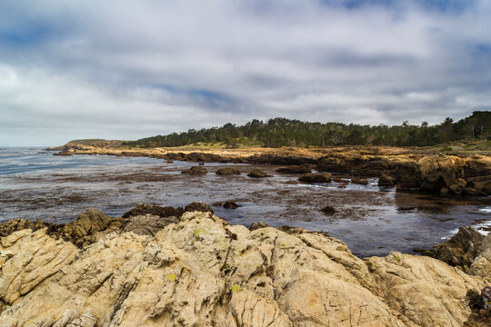 Point Lobos, Big Sur, California