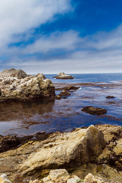 Point Lobos, Big Sur, California