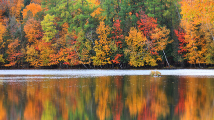 Scenic lake shore in autumn time

