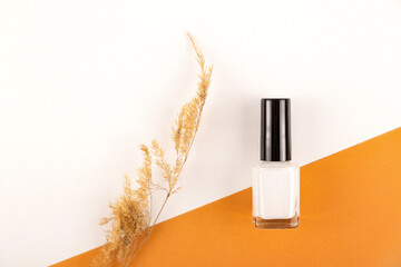 Light nude nail polish on bright warm background with a bouquet of dried flowers. Top view, flat lay