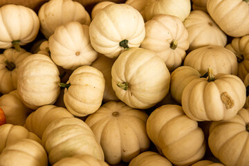 Warwick, NY / United States - Sept. 26, 2020: Landscape background image of autumnal gourds