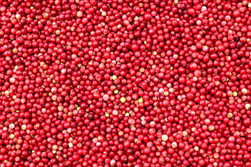Cranberries - small red acid berries used in cooking