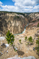 grand canyon of the yellowston from the north rim, wyoming, usa