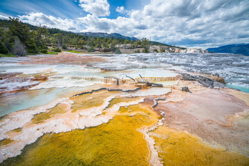 hydrothermal areas of mammoth hot springs in yellowstone national park in wyoming in the usa