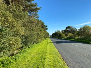 Looking along the B6451 road in Darley, with a wide grass verge and old trees, set against a vivid blue sky near, Harrogate, Yorkshire, UK