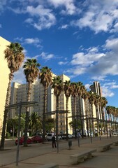 Naklejka premium Bellvitge 