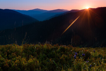 Great view of colorful sunrise in the mountains backlight glow against the sunlight with sun flare and bokeh. Concept of the awakening wildlife, emotional experience in your soul.