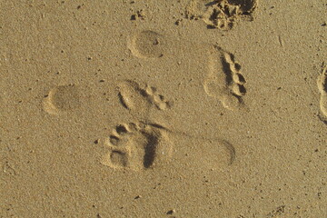 Fototapeta na wymiar Huellas de pies sobre arena de la playa