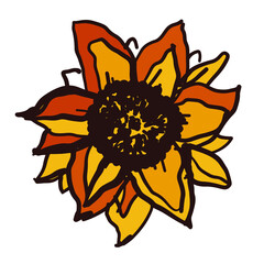 Sunflower digital design. Vector illustration.