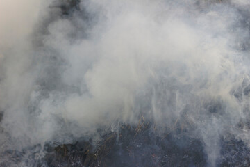 Gray smoke streaked with yellow from the fire. Background of black burnt grass and ash.
