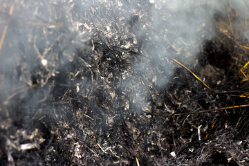 Background of black burnt grass and ash. Gray openwork smoke with blue streaks on the background of smoldering hay.