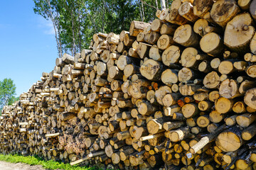 deforestation area, stack of cutted trees ready for transportation on blue sky background