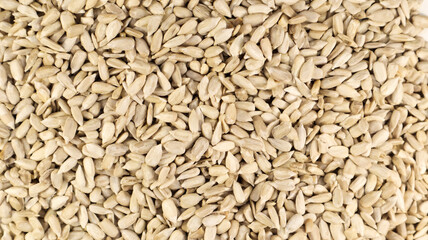 Sunflower seeds, peeled, without shell. Background of peeled not roasted seeds.