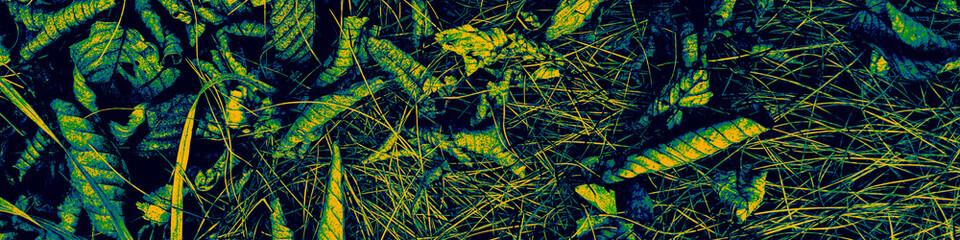 Blue Botanic Print. Yellow Flower Template. Black