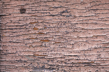 old gray wood board with cracked and peeling pink paint. rough surface texture