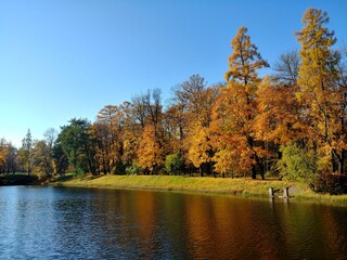 autumn in the park