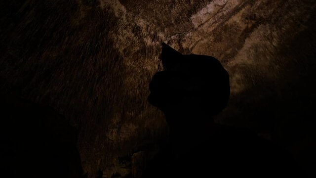 Man in low key overlooking cave's iluminated roof.
High angle, parallax movement, 4k 60p.