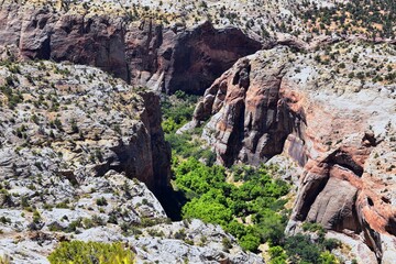 The Grand Staircase Escalante National Monument in southern Utah State Route Scenic Byway Highway 12. Overlook around Lower and Upper Calf Creek Falls by Boulder Utah. United States.