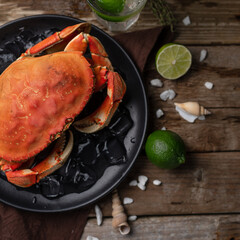 The cooked king crab on black plate with ice. Wooden background. Seafood concept.