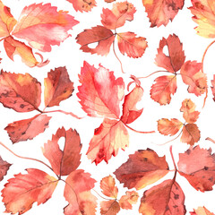 Naklejka na ściany i meble Watercolor seamless pattern of old autumn leaves wild strawberry