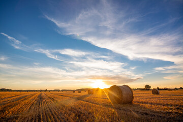 Picturesque sunset over harvested land in the country. Golden sun on tha horizon sends its last...